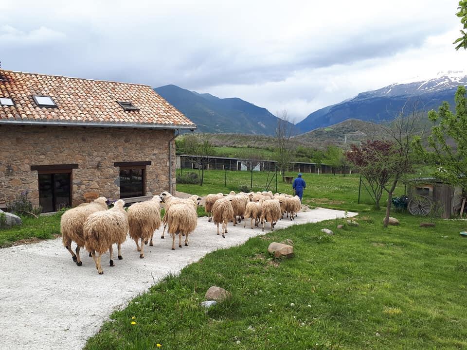 Albergue A'Noguera Castiello de Jaca Eksteriør bilde