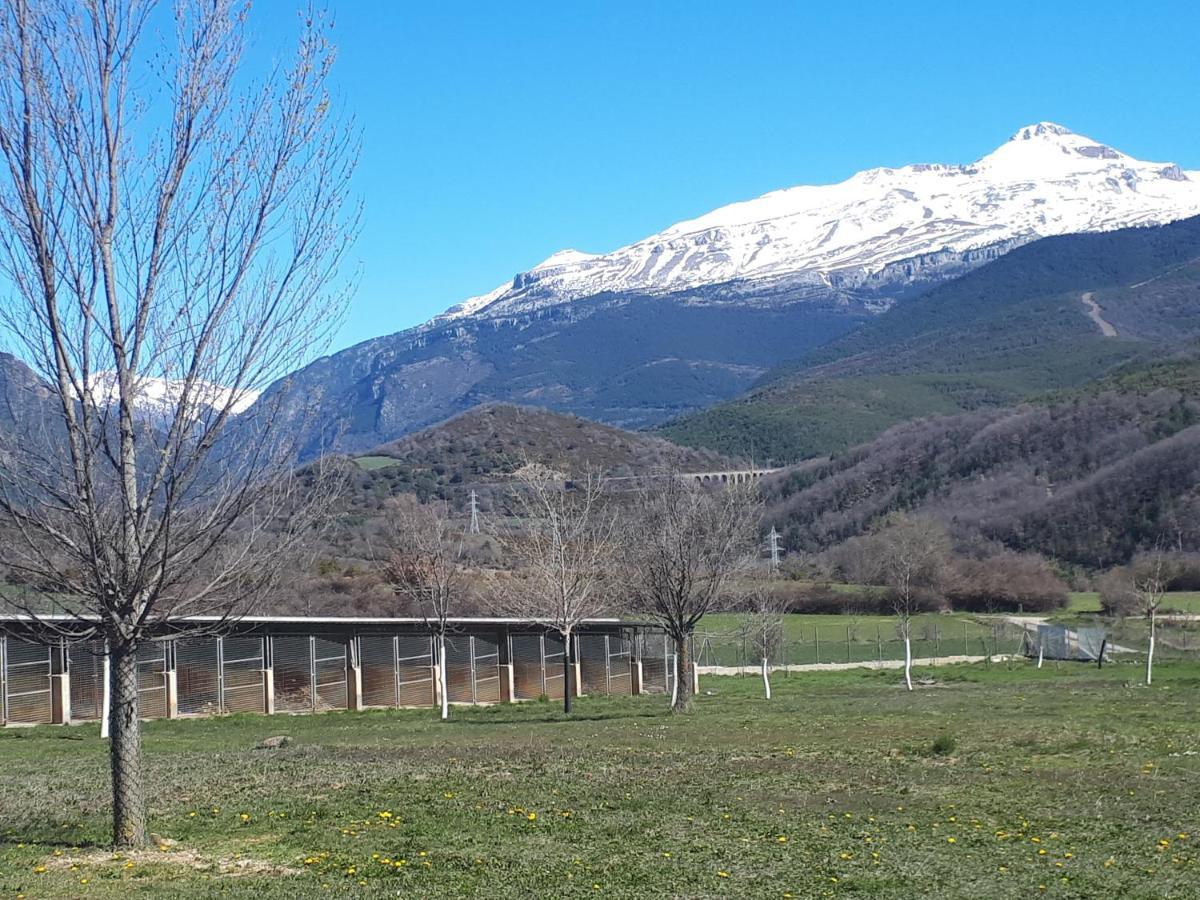 Albergue A'Noguera Castiello de Jaca Eksteriør bilde