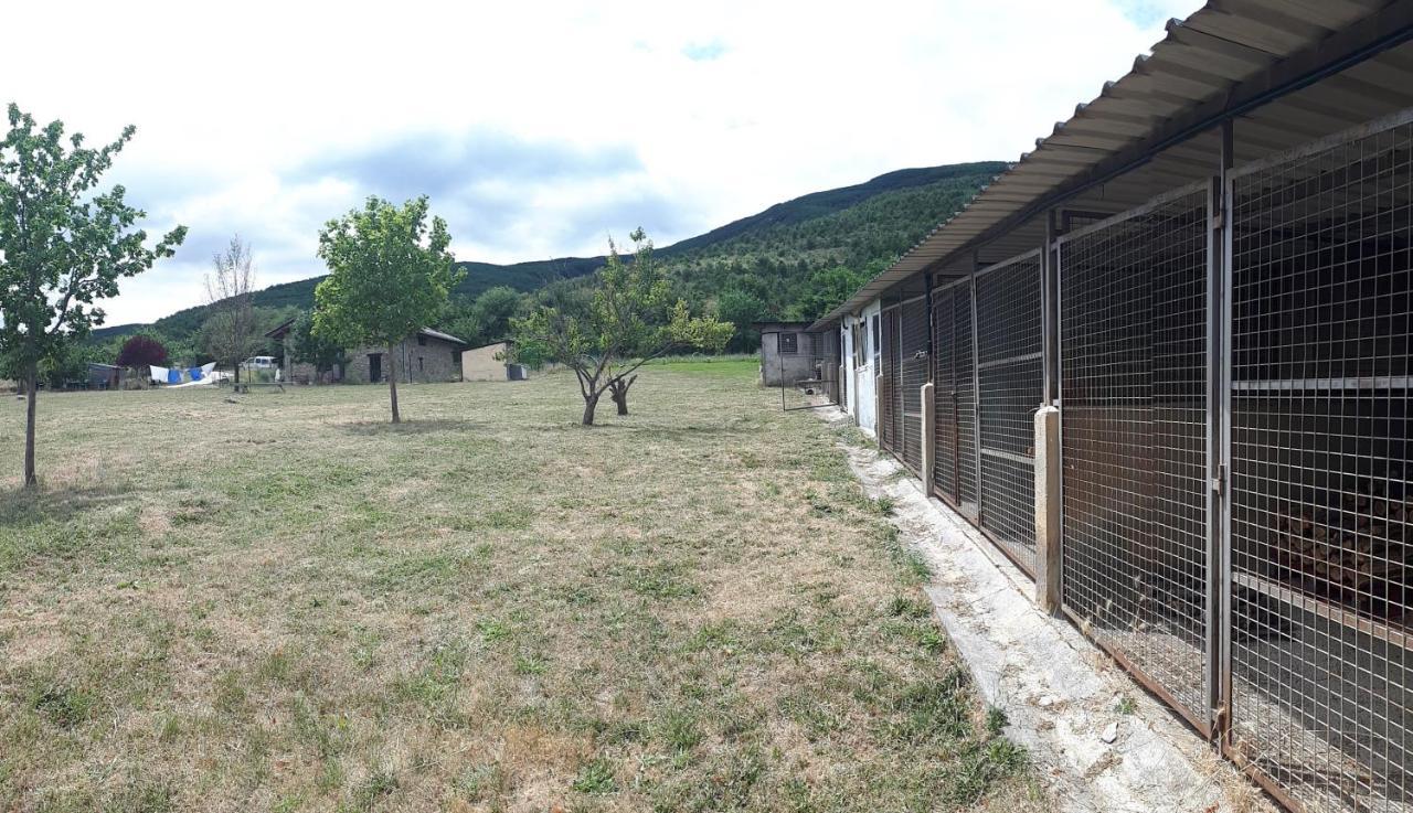 Albergue A'Noguera Castiello de Jaca Eksteriør bilde
